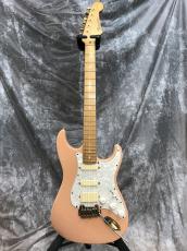 Bacchus Custom Dinky ST SSH_2