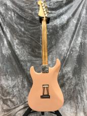 Bacchus Custom Dinky ST SSH_3