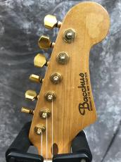 Bacchus Custom Dinky ST SSH_4