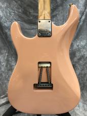 Bacchus Custom Dinky ST SSH_7