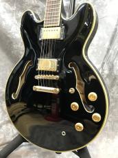 Epiphone Sheraton II Pro