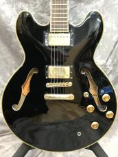 Epiphone Sheraton II Pro_5