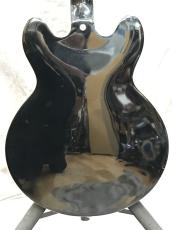 Epiphone Sheraton II Pro_7
