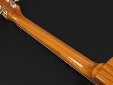 Tokai LS-101S-WA GT ~Gold Top~_10