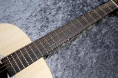 Martin D-X2E Billy Strings #3023502【エボニー使用】【ナローネック】【お勧めモデル】【池袋店在庫品】_9