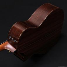 Taylor 914ce SB_5