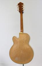 Ibanez PM200 / パットメセニー シグネチャーモデル【Made in Japan】_7