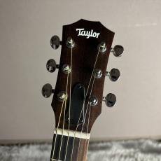 Taylor GS Mini-e Special Edition Blue Paisley【現物画像】_8