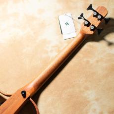 NATASHA NBSG Bass Fretless【お取り寄せ商品】_6