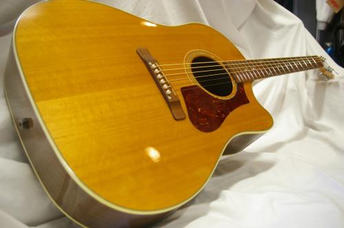 Gibson HP415W