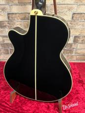 Takamine タカミネ　TSP100 -KT-N-【エレガット 薄胴 ナット幅42㎜】_4
