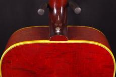 Gibson DOVE_7