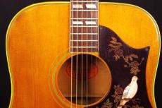 Gibson DOVE_8
