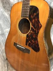 Gibson J-55の検索結果1～13件【楽器検索｜Jギター】