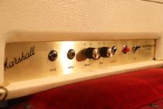 Marshall 1970 2020 Reverberate Unit "White Levant Tolex with Mint Condition"_2