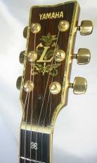 YAMAHA L-55 Custom /　Flagship Model・Head Inlay・Abalone Trim・Solid Premium Grade Ezo Spruce Top・Solid Premium Grade Jacaranda Side and Back・Terry Nakamoto Sign 【With Custom Hard Case】　1981年製_3