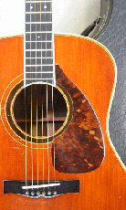 YAMAHA L-31A / Tortoise Pick guard and Rod Cover・Solid Ezo Spruce Top・Solid Jacaranda Side and Back・Matte Finish Side and Back・Ebony Fingerboard【With Original Hard Case】1978年製_2