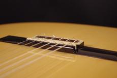 ARANJUEZ [アランフェス] No.715_6