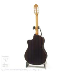 Antonio Sanchez [アントニオ・サンチェス] EG-5 NTE (Nylon Strings)_4