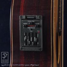 Antonio Sanchez [アントニオ・サンチェス] EG-5 NTE (Nylon Strings)_12
