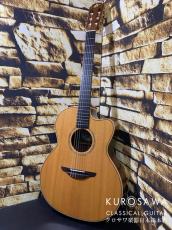 AVALON GUITARS アバロン ギターズ 2003-2004年製 A32J Model:A32J スプルース・ローズウッド エレガット【日本総本店2F 在庫品】