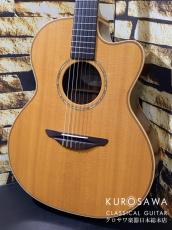 AVALON GUITARS アバロン ギターズ 2003-2004年製 A32J Model:A32J スプルース・ローズウッド エレガット【日本総本店2F 在庫品】_2