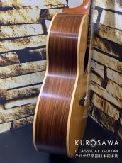 AVALON GUITARS アバロン ギターズ 2003-2004年製 A32J Model:A32J スプルース・ローズウッド エレガット【日本総本店2F 在庫品】_7