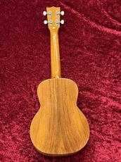 ILIKAI  IL-TEN-4KGG【ハワイアンコア単板】【テナーサイズ】【チューナー&教則本プレゼント】_4