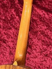 ILIKAI  IL-TEN-4KGG【ハワイアンコア単板】【テナーサイズ】【チューナー&教則本プレゼント】_9