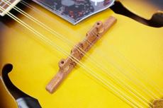 Epiphone MM-30S A Style Mandolin_4