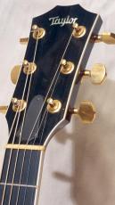 Taylor T-5_6