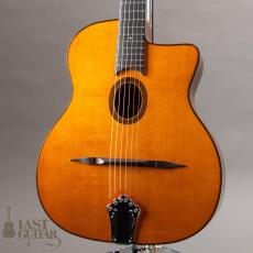 Stringphonic Advanced FVS_2