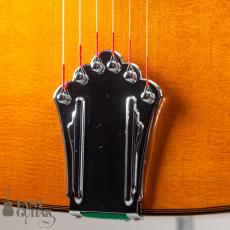 Stringphonic Advanced FVS_3