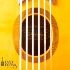 Stringphonic Advanced FVS_5