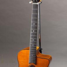 Stringphonic Advanced FVS_6