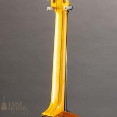 Stringphonic Advanced FVS_9