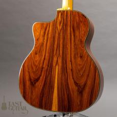 Stringphonic Advanced FVS_10