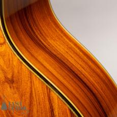 Stringphonic Advanced FVS_12