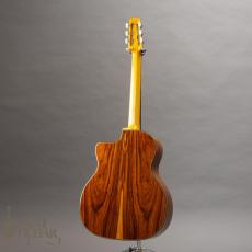 Stringphonic Advanced FVS_13