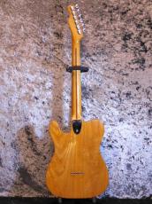 Fender Telecaster Thinline '75_2