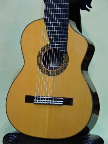ASTURIAS 11弦ギター