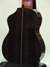 ASTURIAS 11弦ギター_6