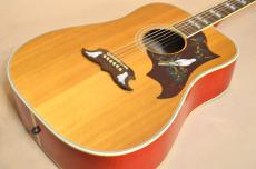 Gibson DOVE　2015年製_3
