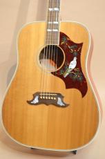 Gibson DOVE　2015年製_5