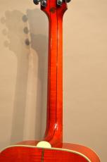 Gibson DOVE　2015年製_10