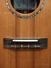 Ko'olau CS Tenor Custom Cedar/Rosewood 【2021年製】【テナー】【シダー/ローズウッド】【コンテンポラリーシリーズ】【ピックアップ搭載】【送料込】_5