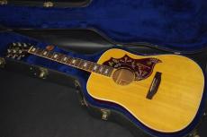 Gibson HummingBIrd_2