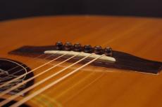 Gibson HummingBIrd_6