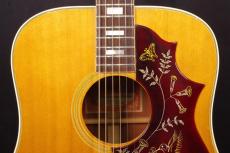 Gibson HummingBIrd_8