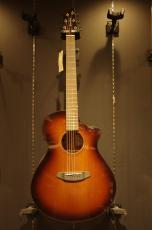 Breedlove Solo Pro Concert Edgeburst CE